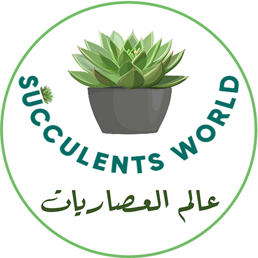 عالم العصاريات